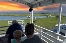 Narrated Sunset Wild Pony Cruise in Chincoteague