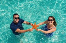 Private Isla Saona & Palmilla Snorkeling Boat Tour