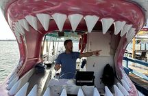 Shark Boat Destin Dolphin Watch and Sunset Cruise