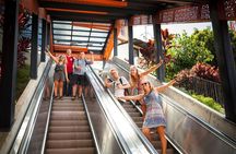 Discover Medellin with City Tour and Grafiti Commune Tour 13