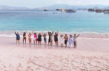 Private Speedboat Fullday Komodo Tour