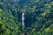 Moshi Materuni Waterfall Hike and Organic Coffee Tour
