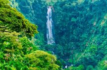 Moshi Materuni Waterfall Hike and Organic Coffee Tour
