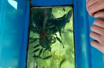 Elky Diani Glass Bottom Tour to Robinson Island