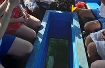 Elky Diani Glass Bottom Tour to Robinson Island