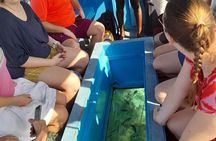 Elky Diani Glass Bottom Tour to Robinson Island