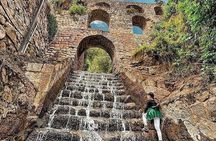 Cusco Alpacas Farm Tour (2,5 hours)