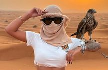 Morning Red Dunes Buggy (30m) + Camel, Falcon & Sandboard