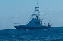 35 foot Bertram 4 Hour Charter