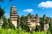 Private Day Tour to Shaolin Temple from Beijing by Bullet Train with Kungfu Show