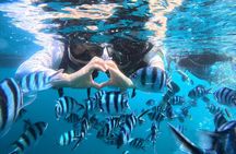 Okinawa Blue Cave Snorkeling Adventure with Free Photos