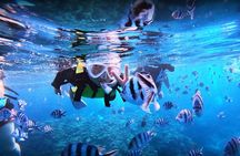 Okinawa Blue Cave Snorkeling Adventure with Free Photos