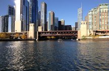 Premium Chicago City Tour Small Group ICONIC Landmarks & Skyline
