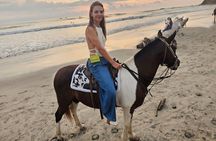 Nosara Golden Sunset Horseback Riding Tour