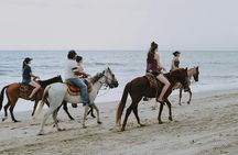 Nosara Golden Sunset Horseback Riding Tour