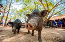 Koh Madsum and Koh Tan Snorkeling Trip By Speedboat From Koh Samui
