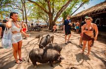 Koh Madsum and Koh Tan Snorkeling Trip By Speedboat From Koh Samui