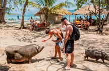 Koh Madsum and Koh Tan Snorkeling Trip By Speedboat From Koh Samui