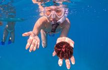 Private Waikiki Boat Charter – Create Your Own Ocean Experience