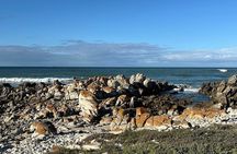 Cape Agulhas Southernmost Tip of Africa and Hermanus Tour
