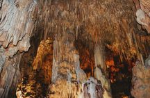Botanic Garden- Paradise Cave & Phong Nha Cave