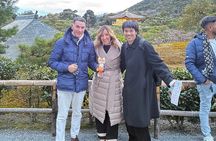 1 Hour Walking Tour in Kyoto with English Tour Guide