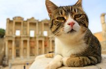 Skip the Line: Private LGBTQ+ Friendly Ephesus & Artemis Tour