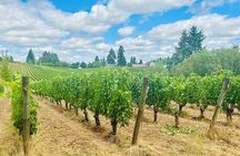Curated Wine Country Experiences Full Day Tour