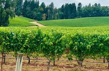 Curated Wine Country Experiences Full Day Tour