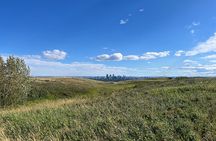 Calgary Nature Loop Private Tour: The Urban Wild