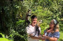 Nature Lovers: Customizable Exploration of the Island (4+ HOURS)