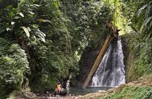 Nature Lovers: Customizable Exploration of the Island (4+ HOURS)