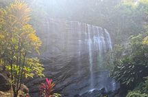 Nature Lovers: Customizable Exploration of the Island (4+ HOURS)