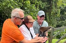 Nature Lovers: Customizable Exploration of the Island (4+ HOURS)