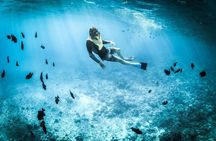 Roatan Private and Public Snorkel Tours at West Bay Beach
