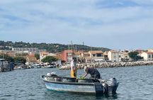 Sète Day Tour Sète Oysters and Wine Tour