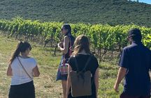 Sète Day Tour Sète Oysters and Wine Tour