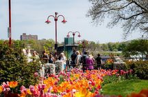 Niagara Falls Cruise and Scenic Walking Tour