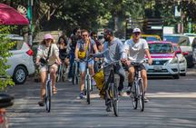 Street Food Bike Ride/Roma-Condesa/All-Inclusive 3.5 hours