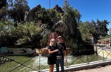 Private Santiago Walking Tour