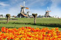 Keukenhof Gardens and Zaanse Schans Windmills Day Tour
