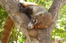 Discover Barra de Potosí