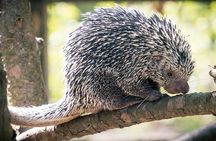 Discover Barra de Potosí