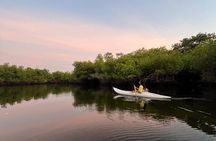 Discover Barra de Potosí