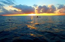 Private Sunset Tour in Cancun by Yacht