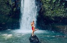 Ubud Private Tour : Waterfalls, Temple , And Rice Teracces Trip