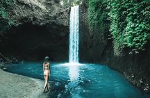 Ubud Private Tour : Waterfalls, Temple , And Rice Teracces Trip