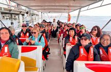 Paracas, Ballestas Islands and Huacachina Guided Tour