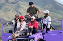 Private Ubud Sightseeing Tour with Entrance Fees