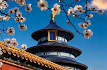 Tianjin Shore Excursion: Beijing City Highlights with Flexible Dorp-Off Option